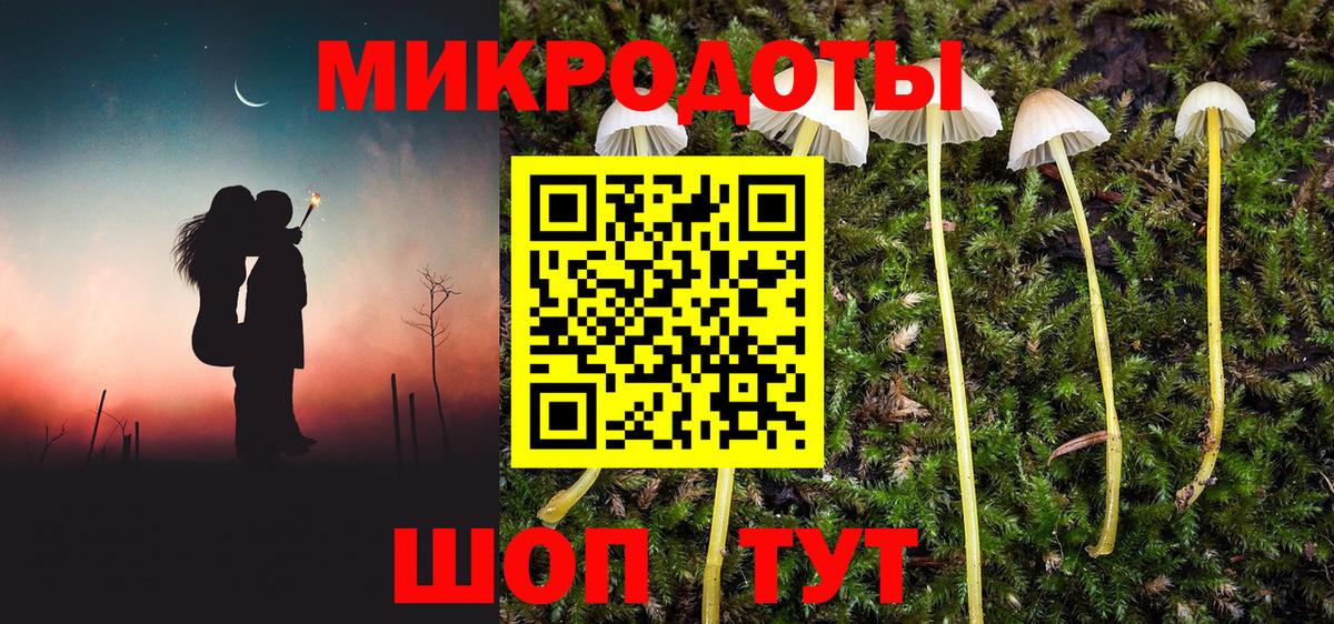 Псилоцибиновые грибы Psilocybine cubensis Благодарный