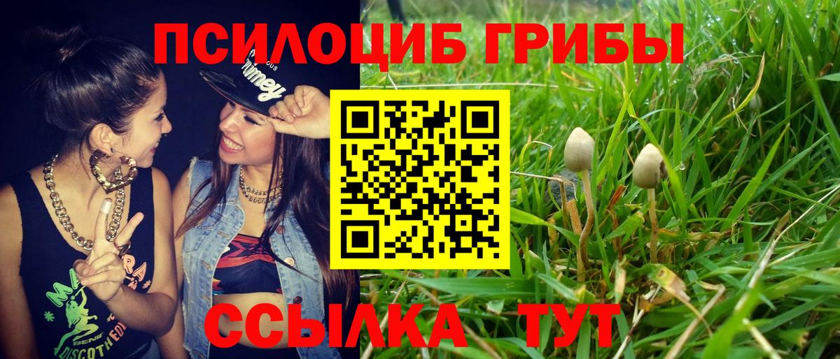 Благодарный  Галлюциногенные грибы GOLDEN TEACHER  Вход с VPN 